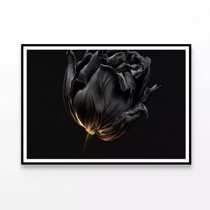 Black Flower with Yellow  Print 100% Australian Made 120x90cm  (Poster)