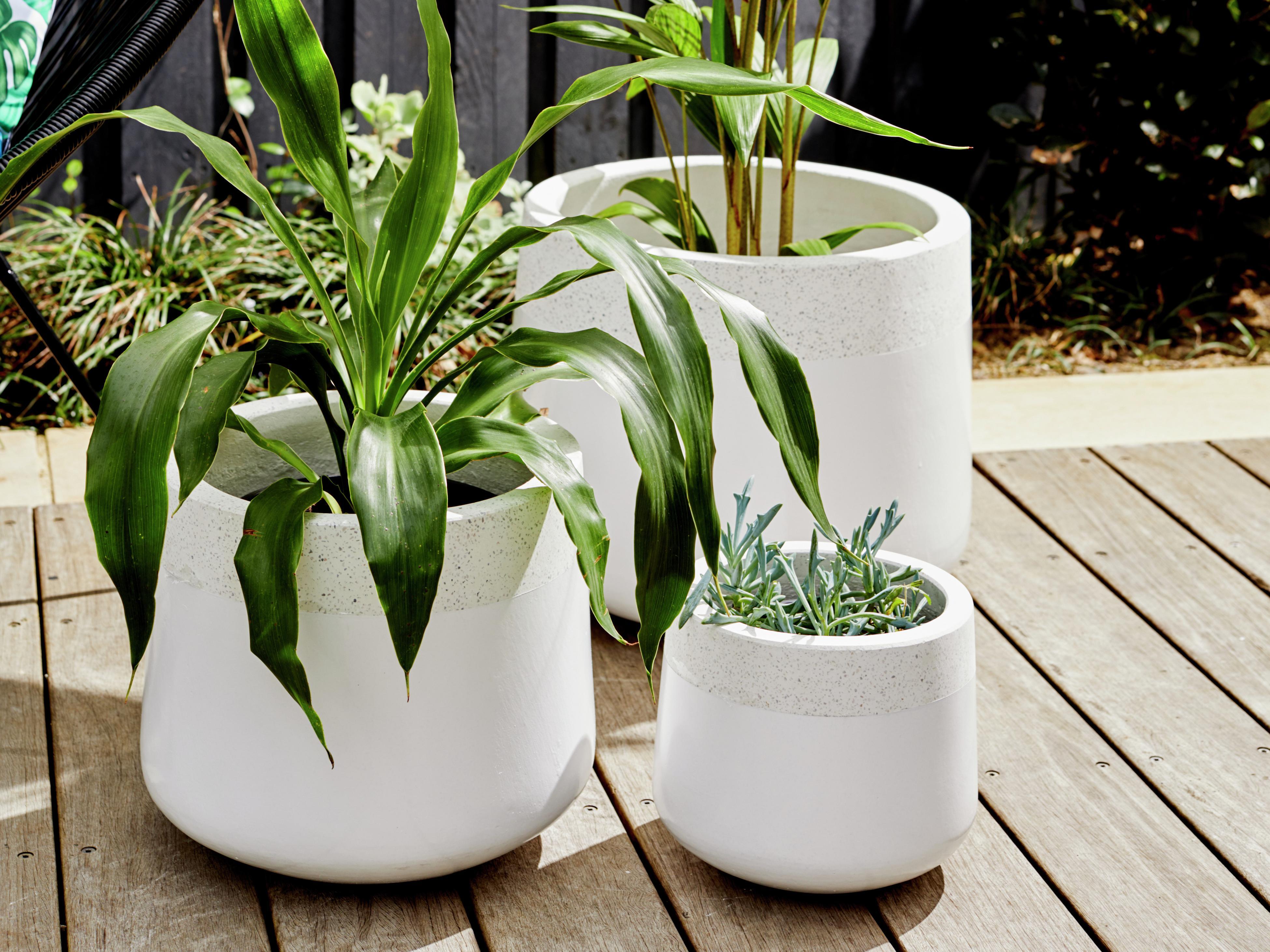 Scotts Osmocote s Guide To Giving Your Plants The Best Pot Bunnings Australia
