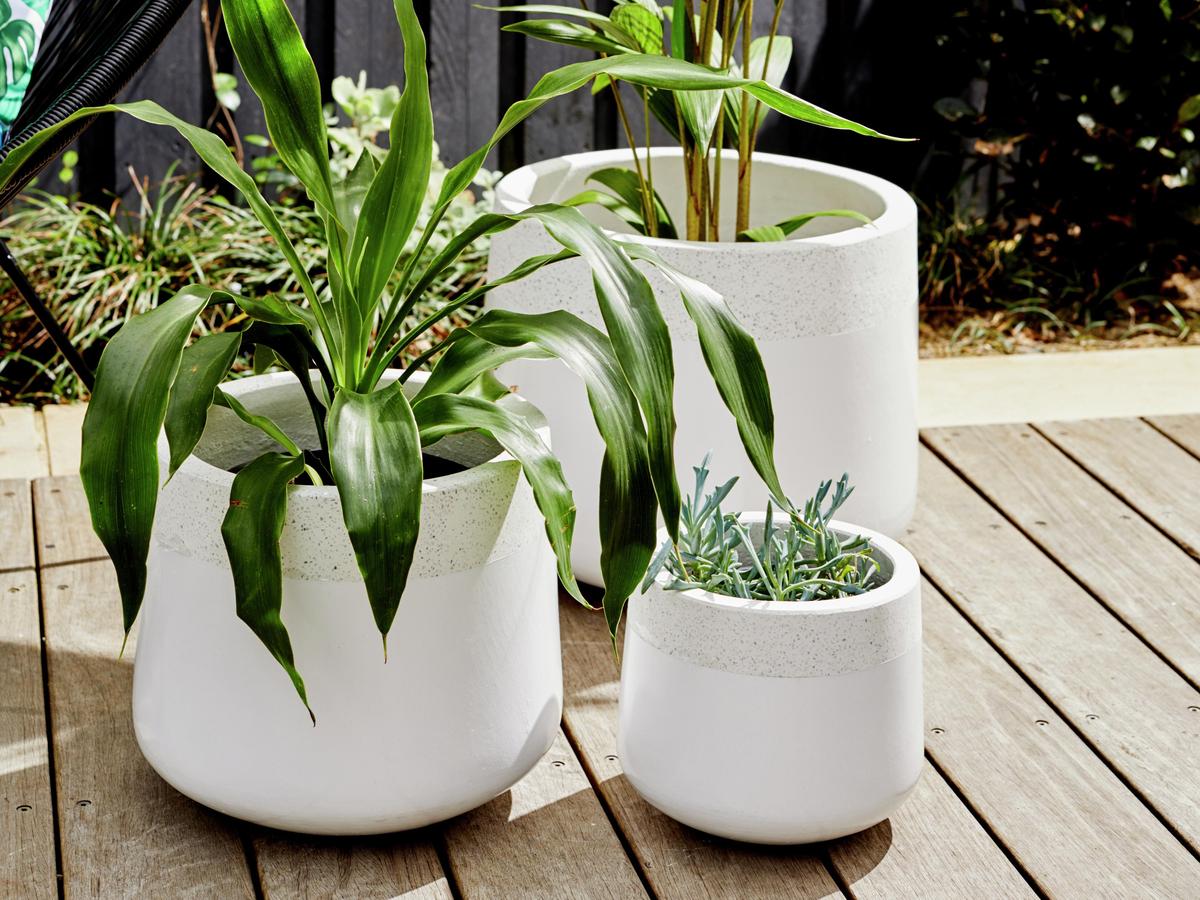 Scotts Osmocote's Guide To Giving Your Plants The Best Pot - Bunnings ...