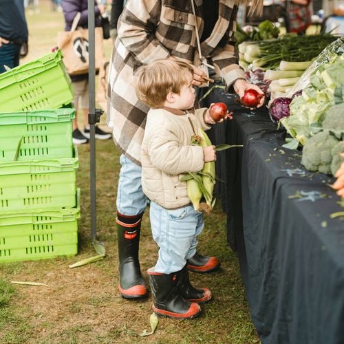 Your go-to for the local farmers market