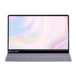 ENGLAON 15.6” Full HD IPS LED Portable Monitor