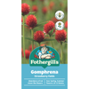 Fothergill's Gomphrena Strawberry Fields