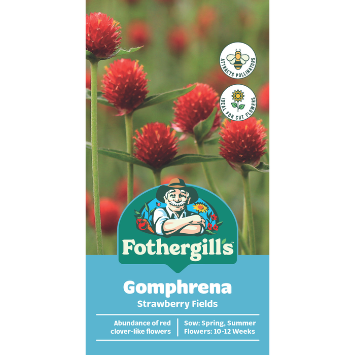 Fothergill's Gomphrena Strawberry Fields