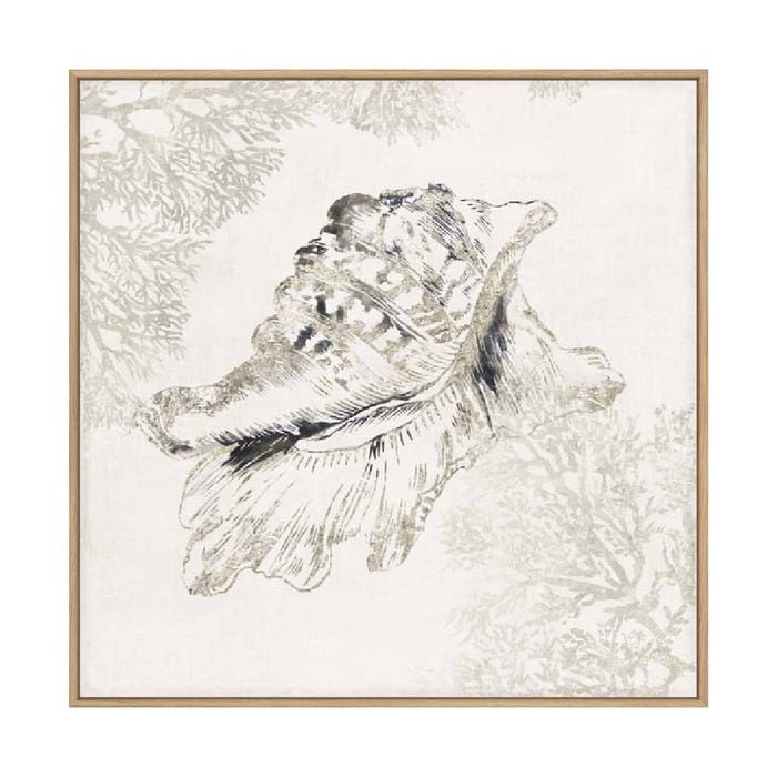 Artey | Silver Shell I - Framed Canvas - Natural Frame - 120 x 120cm