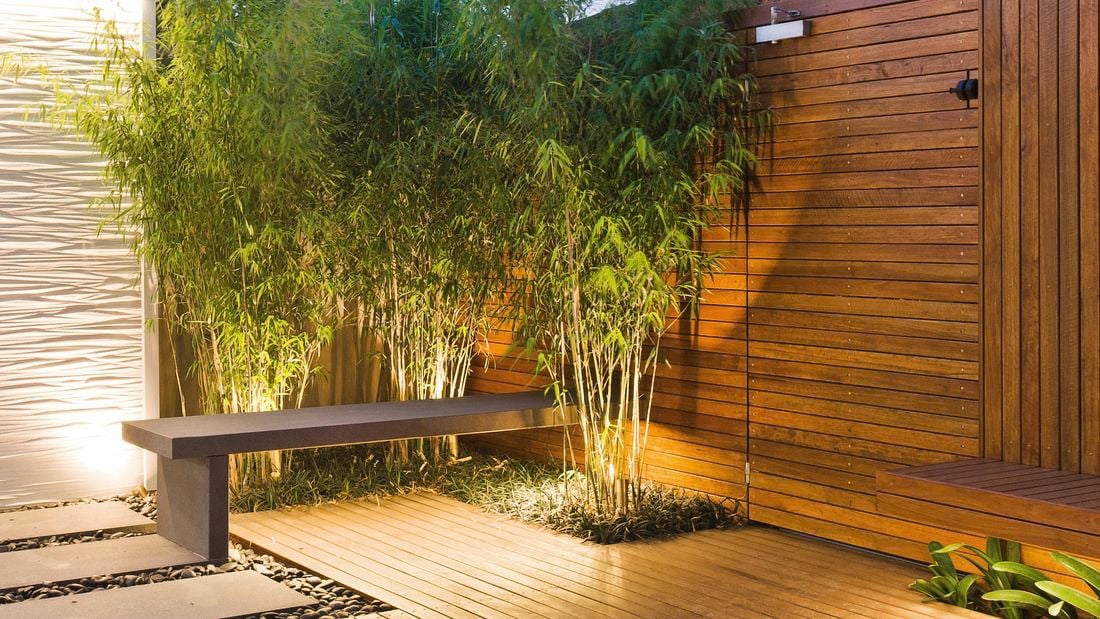 Decking area with plants.