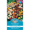 Mr Fothergill's Strawflower Dwarf M ixed Flower Seeds