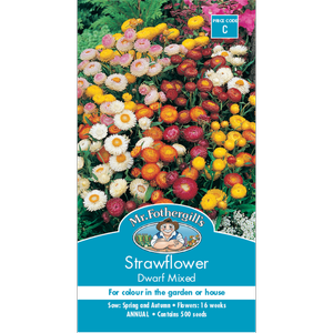 Mr Fothergill's Strawflower Dwarf M ixed Flower Seeds