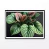 Green Orchid Flowers Pattern  Print 100% Australian Made 120x90cm  (Poster)