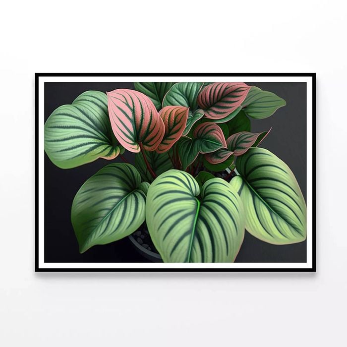 Green Orchid Flowers Pattern  Print 100% Australian Made 120x90cm  (Poster)