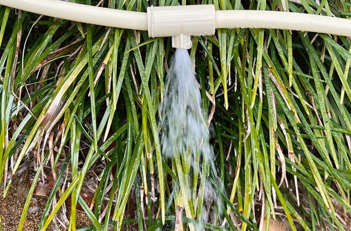 Water flowing out of a pipe