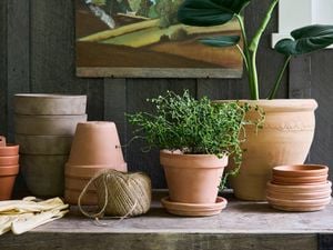 pots on a buffet table