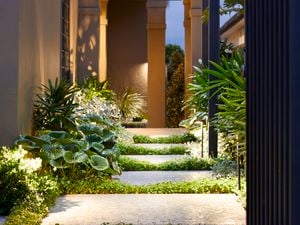 Metal square arches following a grey tiled pathway with green foliage either side. Path lit up with various lights.