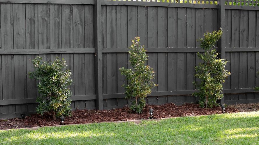garden bed with fresh mulch and plants, timber fence in back ground