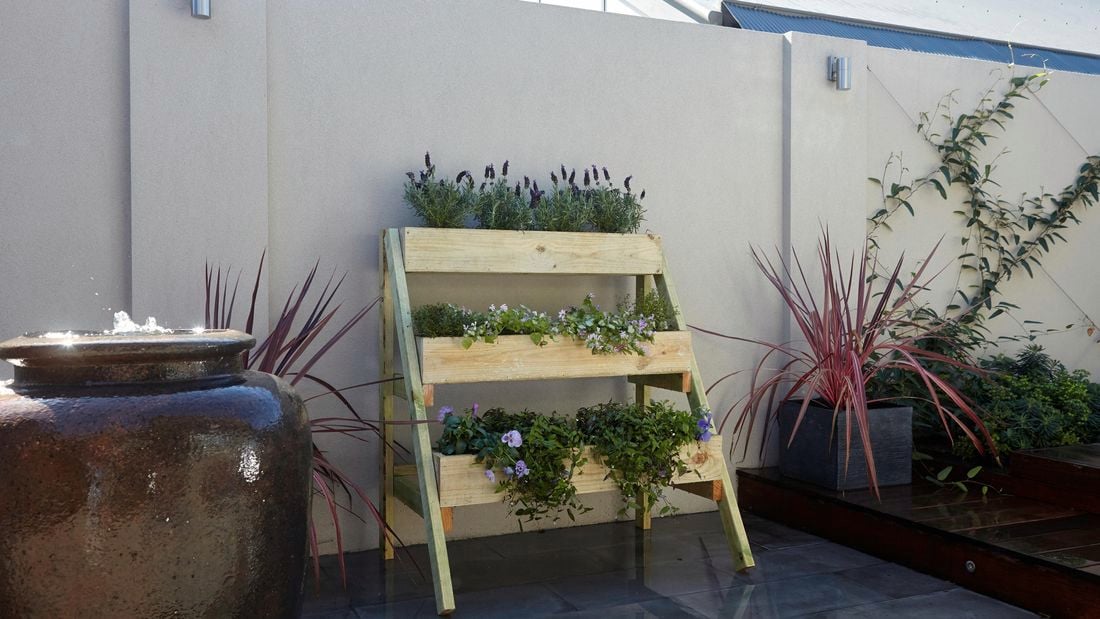 A three-tiered timber planter with pot plants against a garden wall