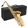 Axiom Prelude Tenor Saxophone