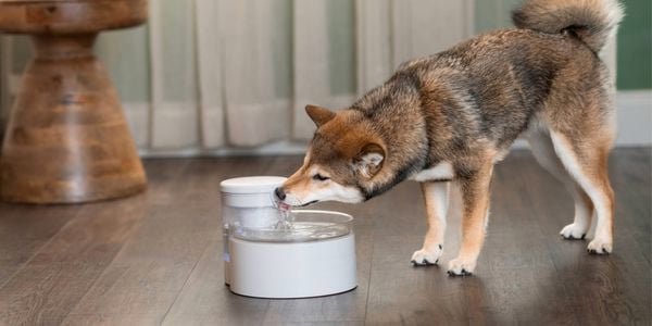 PetSafe Marketplace- Side by side 2- Brand page