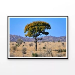 Tree Standing In the Grasslands  Print 100% Australian Made 120x90cm  (Poster)