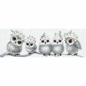 P&P Multicolour Owls With Flowers Canvas Print For Decorative Bedroom Or Living Interiors