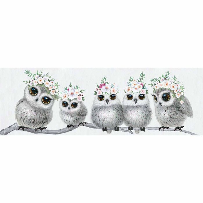 P&P Multicolour Owls With Flowers Canvas Print For Decorative Bedroom Or Living Interiors