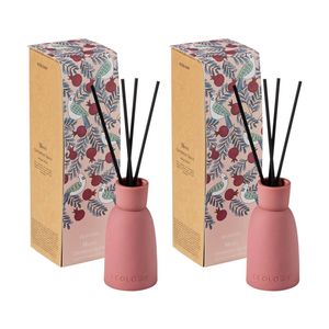 2PK Ecology Merri Cinnamon Spice Scented Diffuser 200ml Ceramic Holder