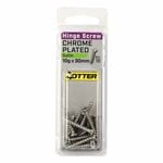 Otter 10 x 30mm Satin Chrome Hinge Screws - 16 Pack