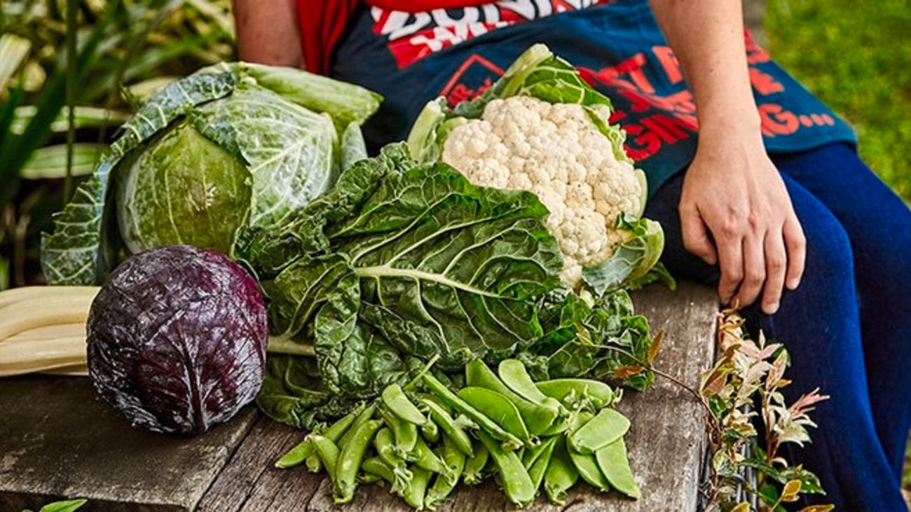 Cabbages, silverbeet, snow peas and cauliflower