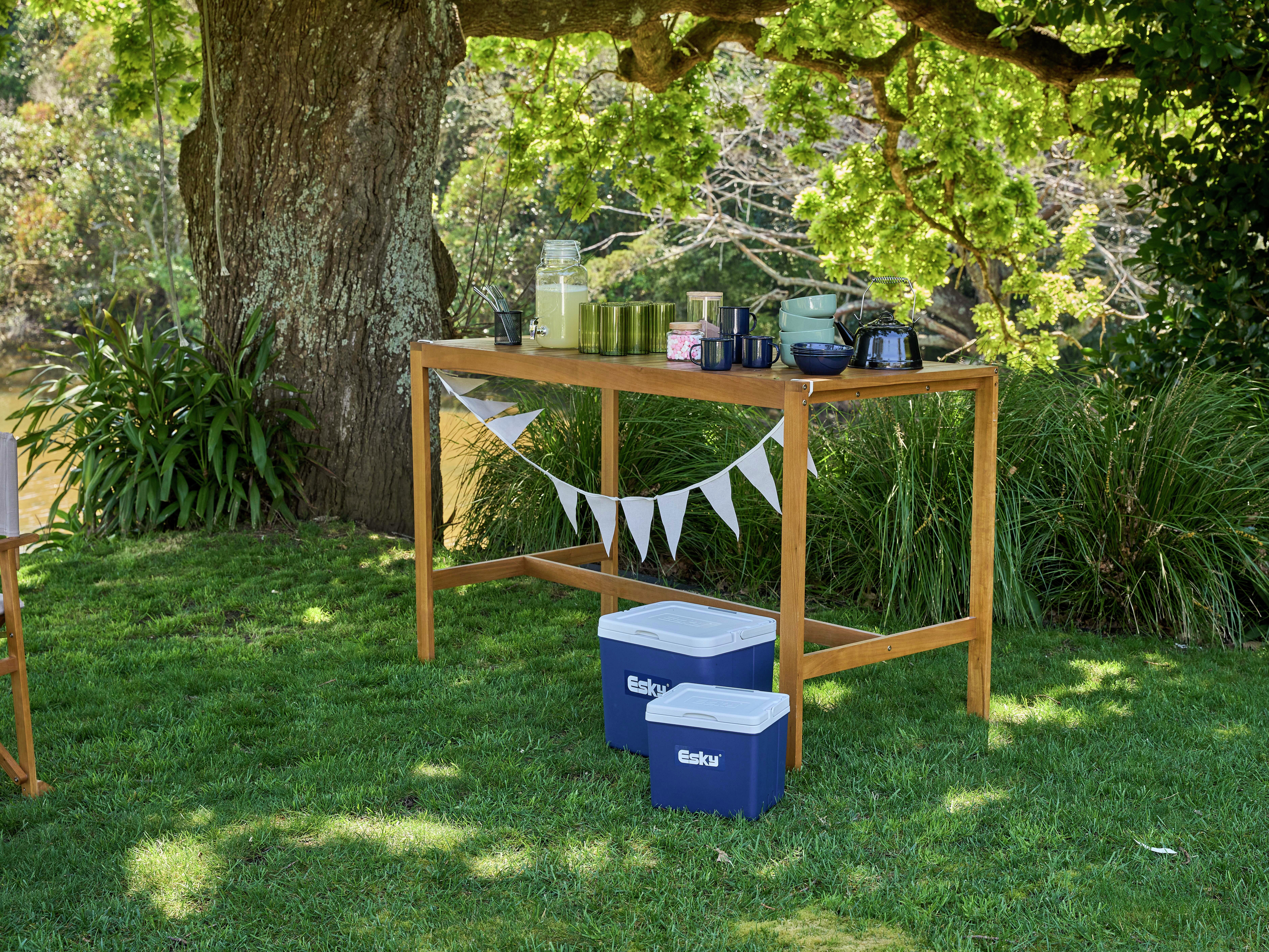 How To Dethatch Your Lawn Bunnings Australia