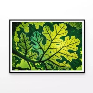 Close-Up Photo of A Green Leaf  Print 100% Australian Made 120x90cm  (Poster)