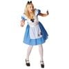 Alice In Wonderland Classic Halloween Costume Adult Disney Dress Apron Headband Blue Colour, Medium