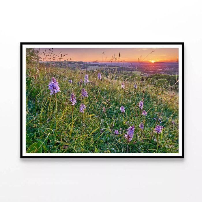 Grassland with Orchids  Print 100% Australian Made 90x60cm  (Poster)