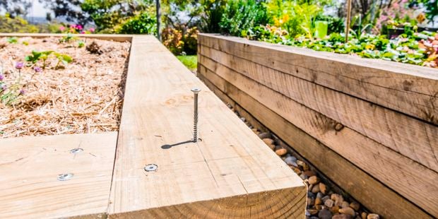 Raised garden bed with screws in timber frame.