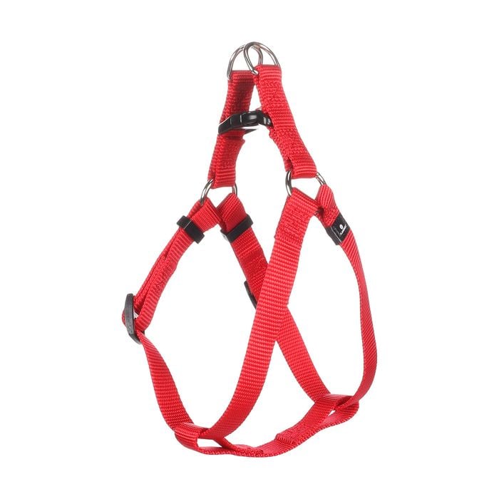 Flamingo Medium Red Ziggi Step&Go Dog Harness