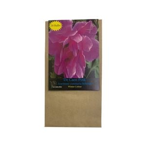 Yarra Valley Bulbs Anemone De Caen Pink - 20 Pack