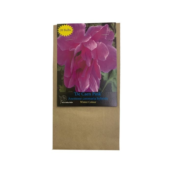 Yarra Valley Bulbs Anemone De Caen Pink - 20 Pack