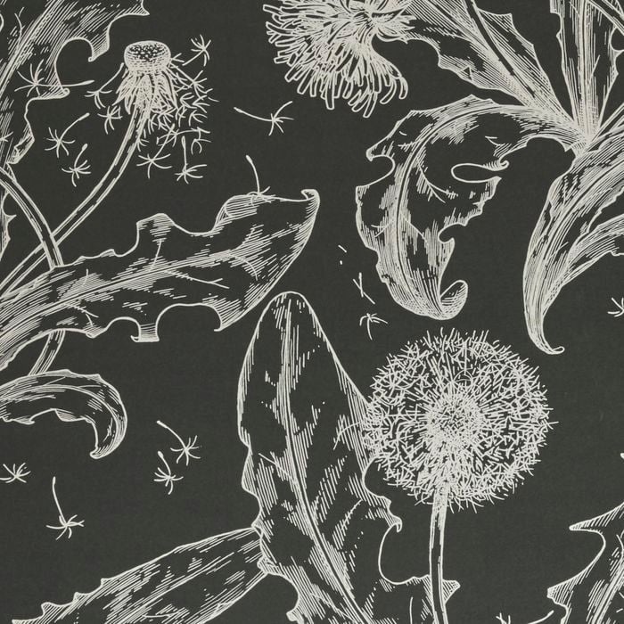 Porter's Paints A4 Sample Graphite Dandelion Wallpaper