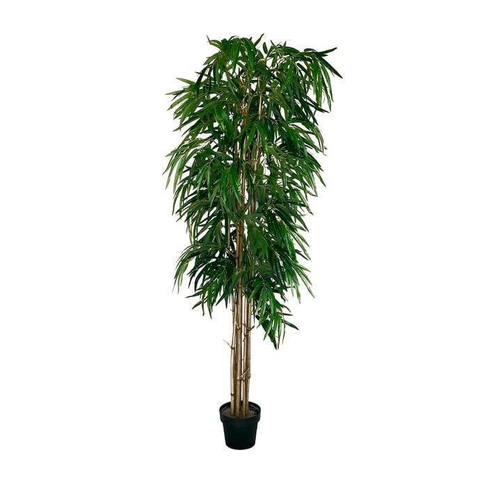 UN-REAL 180cm Bambusa Bamboo Artificial Plant