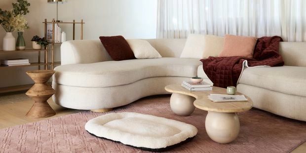 A modern furnished lounge room, with a couch, coffee table, dog bed on a rug on the floor and 2 shelving units next to the wall in it.