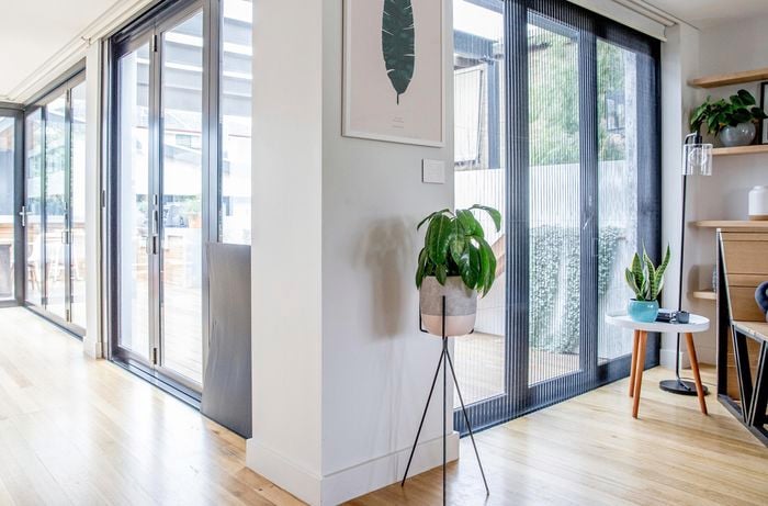 Light-filled hallway with timber floorboards and a pot plant