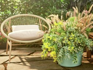 A large garden planter filled with yellow flowers and feathery grasses on a patio next to an outdoor chair and timber bench.
