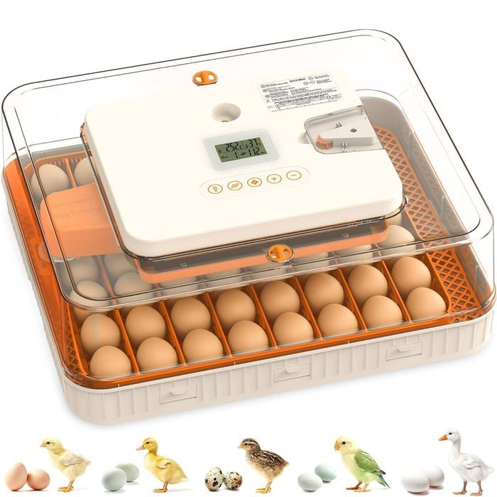 Advwin 56 Egg Incubator Automatic Egg Turner Egg Candler