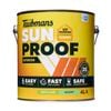 Taubmans 4L Accent Semi Gloss Sunproof Exterior Paint