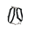 PetSafe Black 3-In-1 Harness And Car Restraint - Small