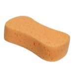 Sponges & Chamois