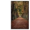 Avenue Covered by Fall Leaves  Print 100% Australian Made 60x90cm  (Poster)