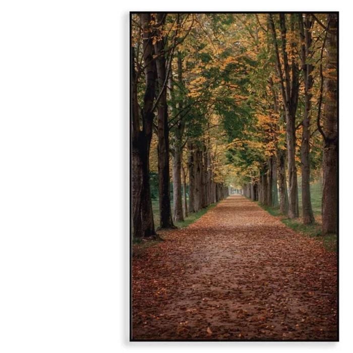 Avenue Covered by Fall Leaves  Print 100% Australian Made 60x90cm  (Poster)