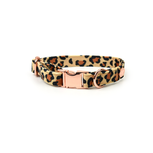 Holly & Co Basic B*tch Leopard Extra Small Brown Premium Velvet Dog Collar