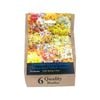 Yarra Valley Bulbs Daffodil Fragrant Mix - 6 Pack