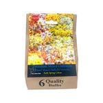 Yarra Valley Bulbs Daffodil Fragrant Mix - 6 Pack