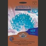 Mr Fothergill's Wildflower Waratah Seeds