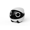 ROLA Mini – Small Smart Pet Robot with App Control